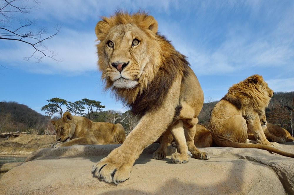 愛寶樂園動物王國