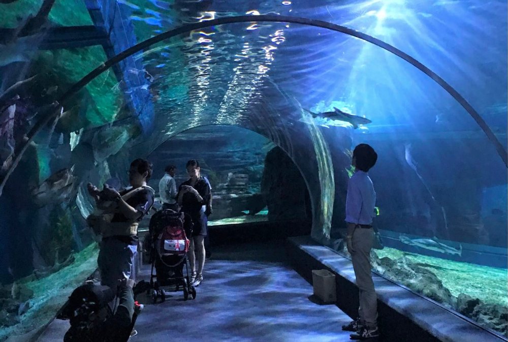kids and people in the Bangkok Underwater Tunnel