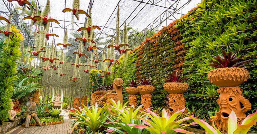 Vườn Bách Thảo Nhiệt Đới Nong Nooch