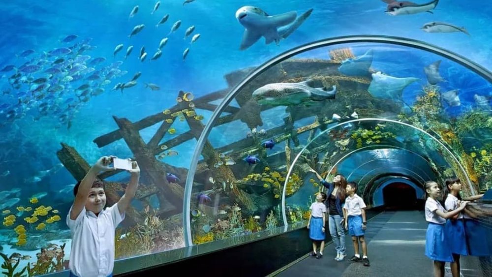 S.E.A. Aquarium is the largest aquarium in Southeast Asia