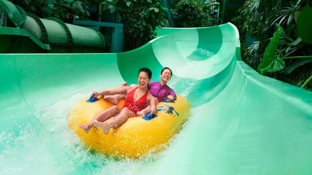 Adventure Cove Waterpark is the only integrated aquatic and marine life park in Southeast Asia