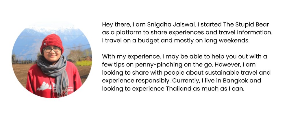 the stupid bear introduction