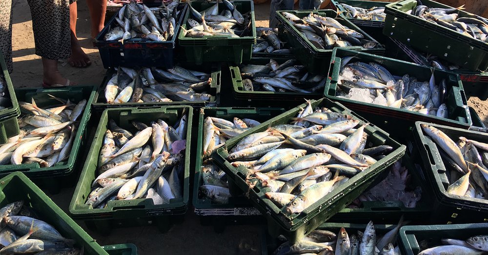 cho-hai-san-nha-trang