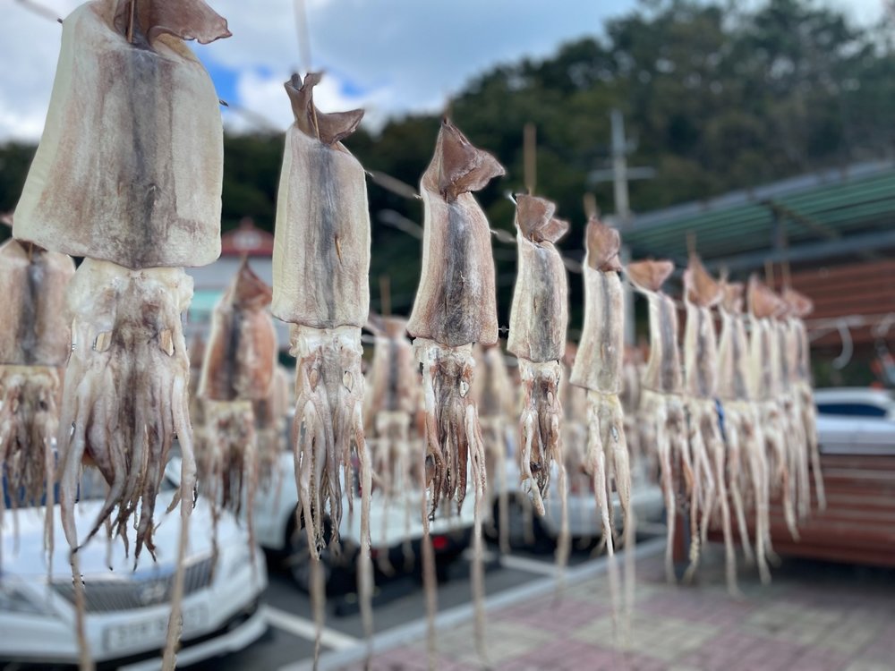 cho-hai-san-nha-trang