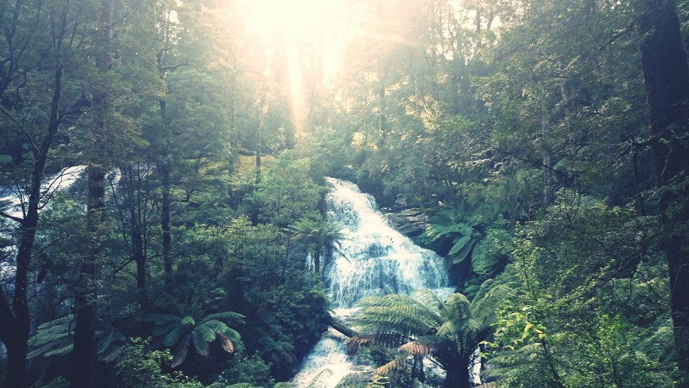 triplet falls at great otway national park