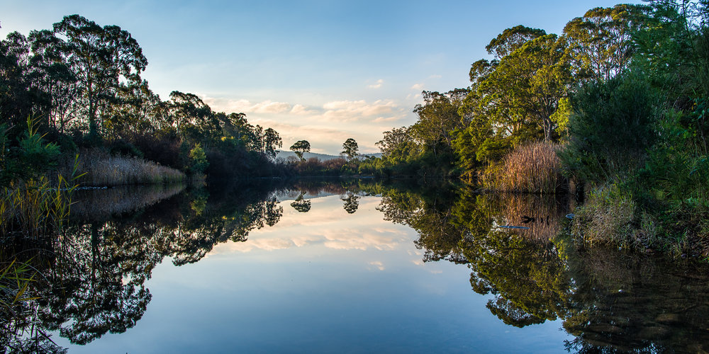 a quiet lake at gippsland victoria australia