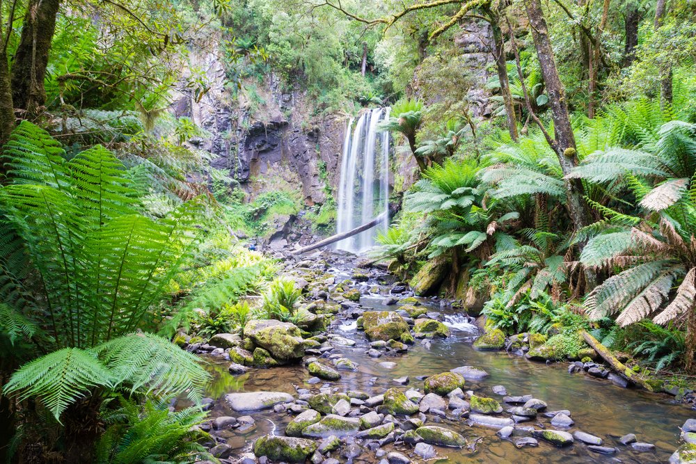waterfall at great otway national park victoria australia