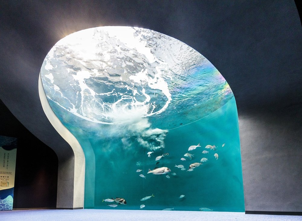 四国水族館 渦潮の景 Shikoku Aquarium Whirlpool