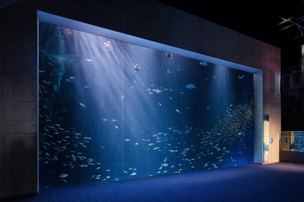 四国水族館 綿津見の景 Shikoku Aquarium View of Watatsumi