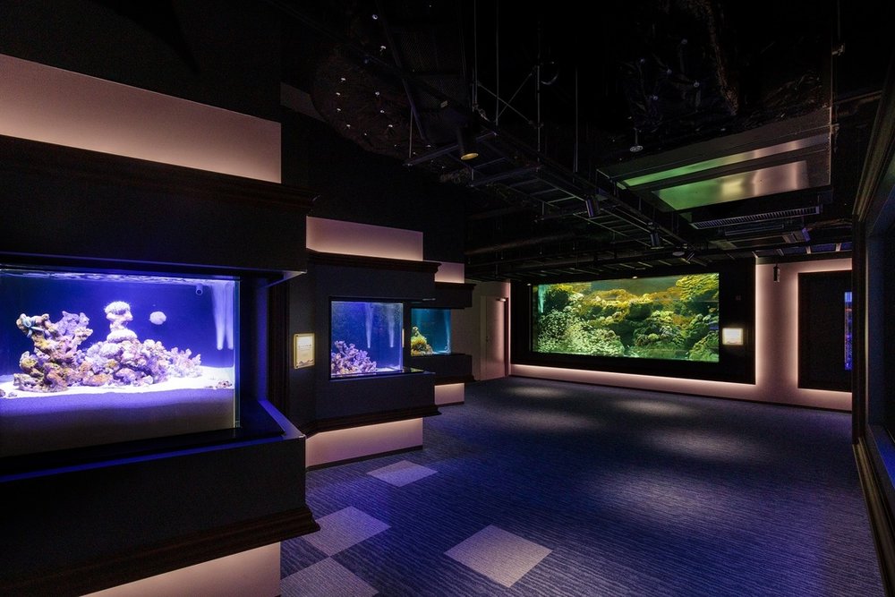 四国水族館 太平洋ゾーン