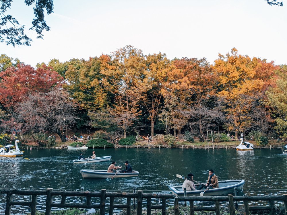 People on boats in a park in Tokyo
