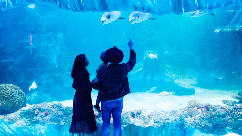 Spend quality time with the fam at SEA LIFE!