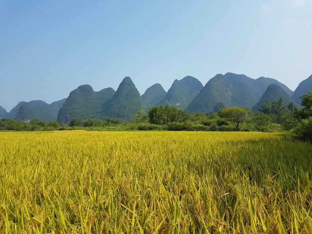 chua-hang-chau-doc