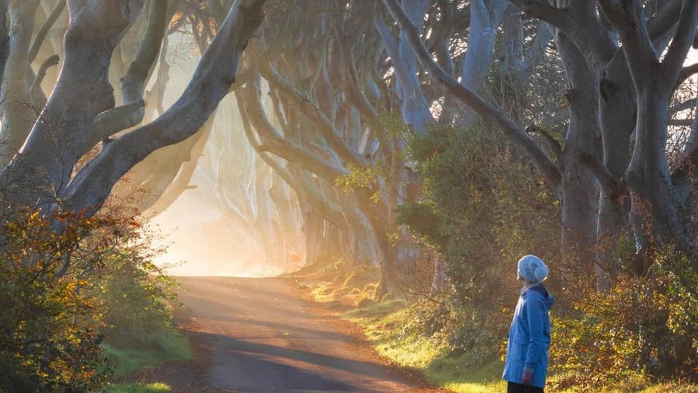 Feel like you’re on Game of Thrones when you walk through the Dark Hedges. Credit:chris_ibbotson_photography