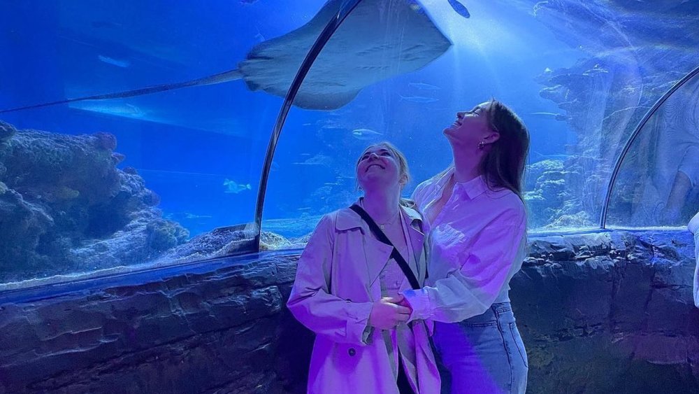 Admire manta rays, penguins, jellyfish and loads of other aquatic creatures at the aquarium. Credit: rainbowglobetrotters