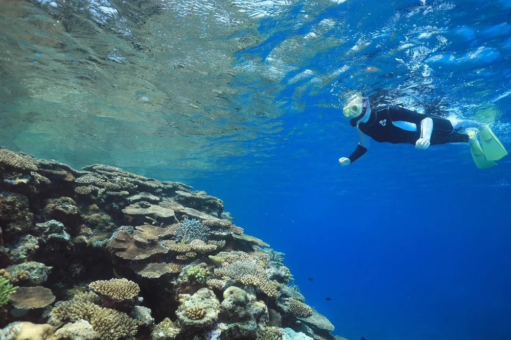 Girl snorkeling in Davao
