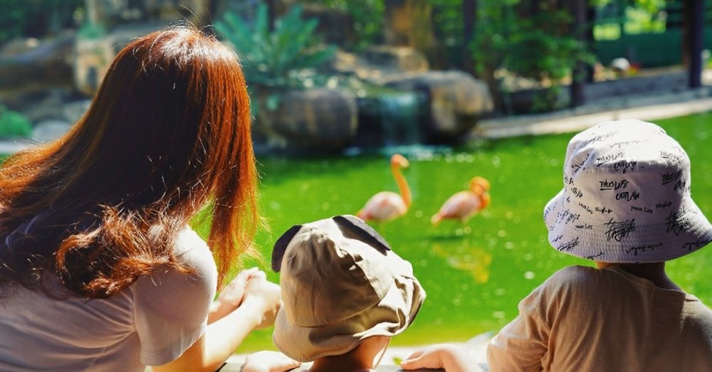 Cách Đi Đến Khu Du Lịch Vườn Xoài Từ Thành Phố Hồ Chí Minh