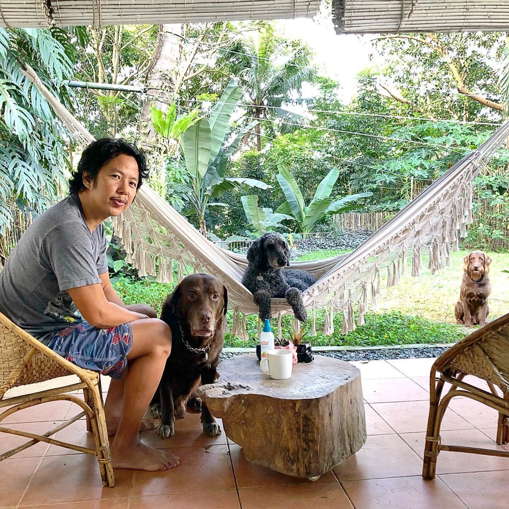 Dogs in a villa
