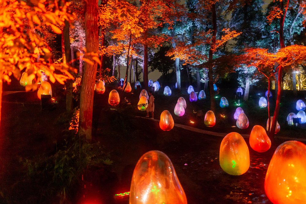  チームラボ ボタニカルガーデン 大阪  呼応する木々