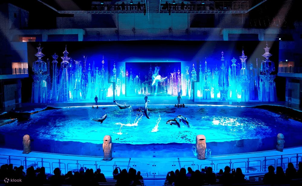 7891 八景島シーパラダイス イルカショー