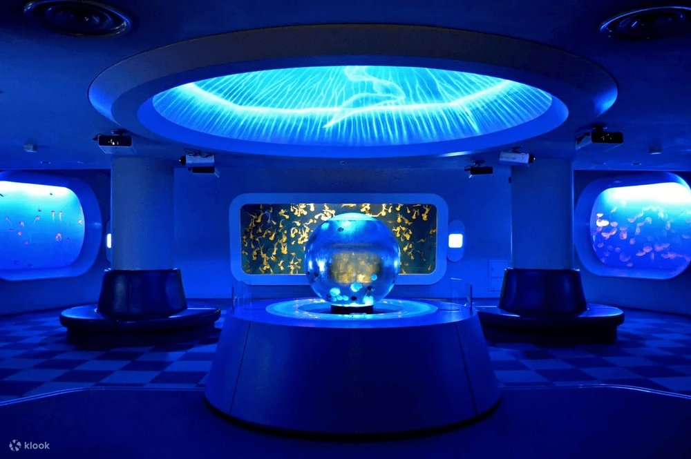 41174 新江ノ島水族館 クラゲ