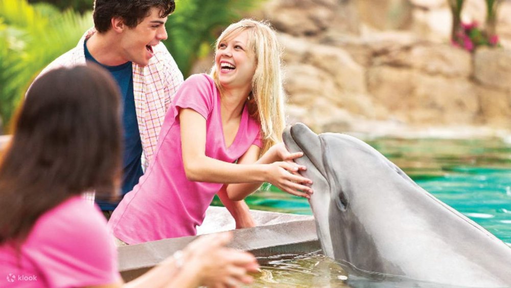 Get up close and personal with the aquatic animals in SeaWorld. 