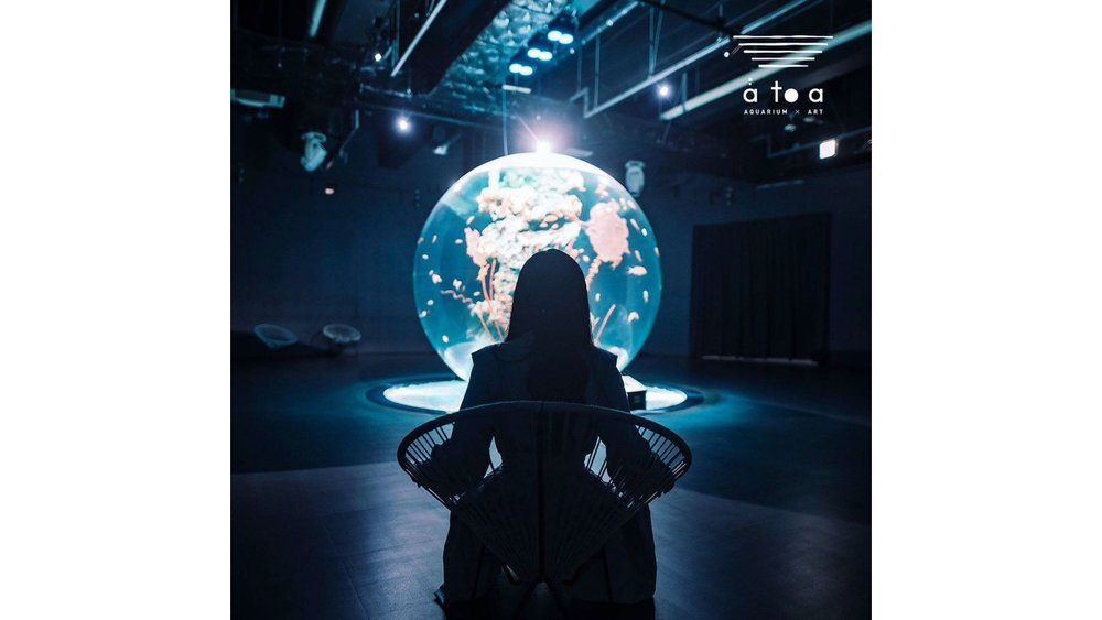 Atoa Aquarium means Art Aquarium! Image credits: @atoa_kobe on Instagram