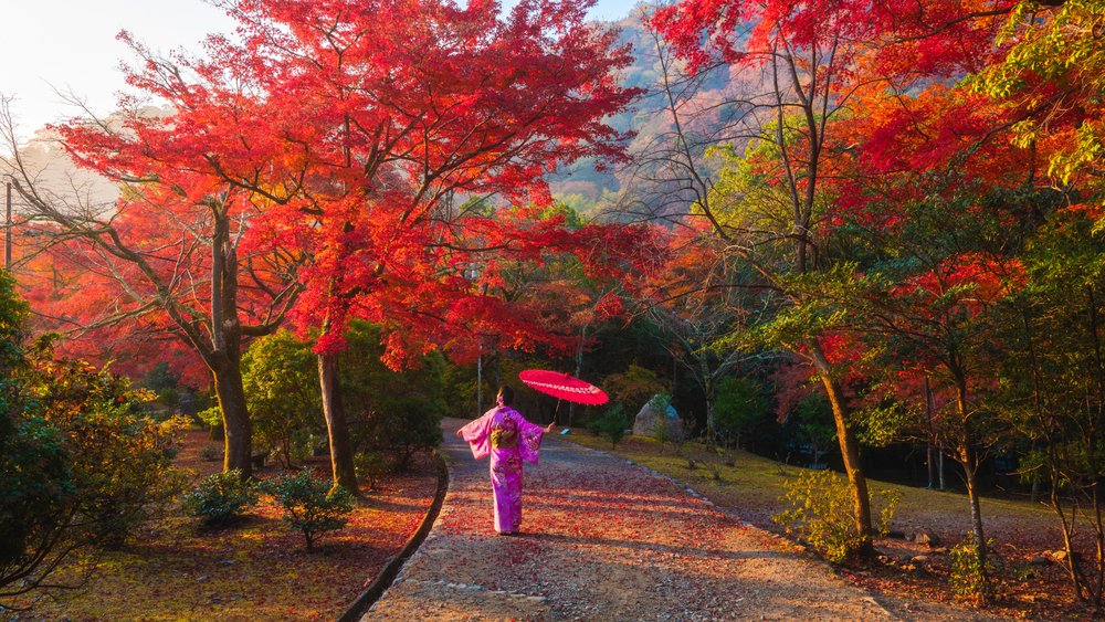 Explore more in Japan