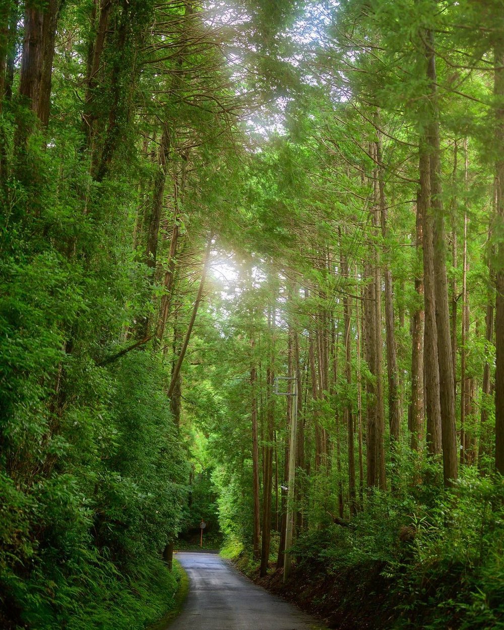 養老渓谷（千葉県大多喜町）Yoro Valley Chiba 
