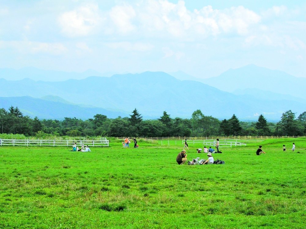 清里高原（山梨県北杜市）