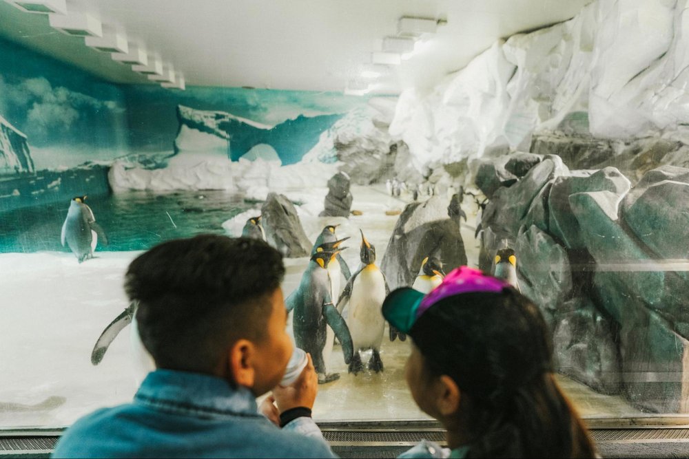 Sea World Gold Coast