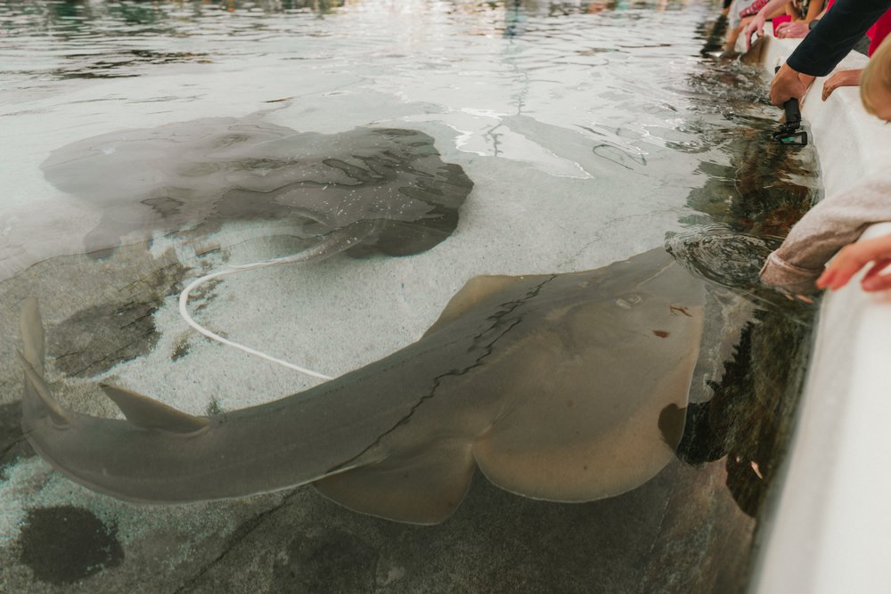 Sea World Gold Coast