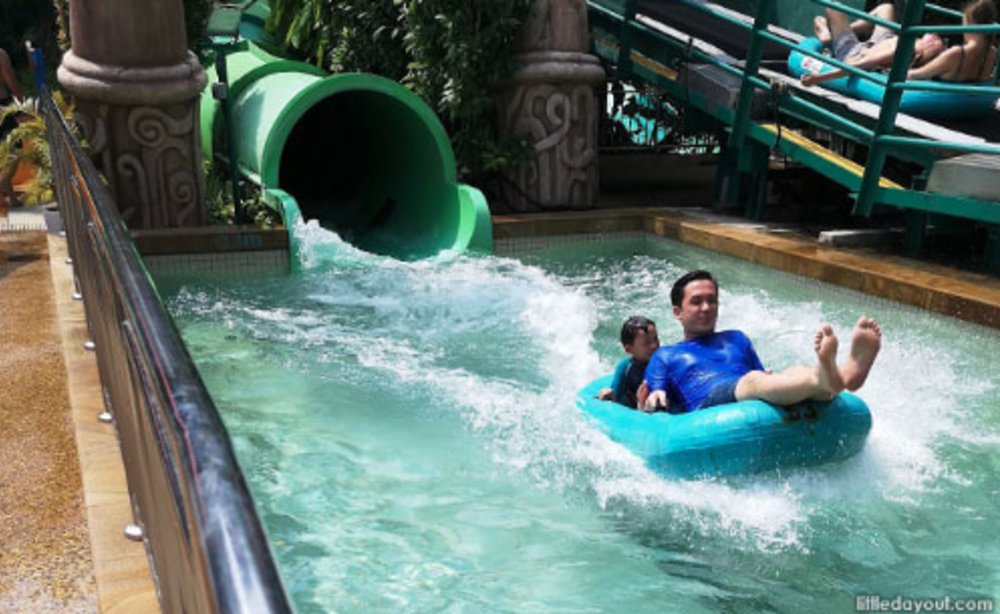 father and son sliding in Adventure Cove Waterpark