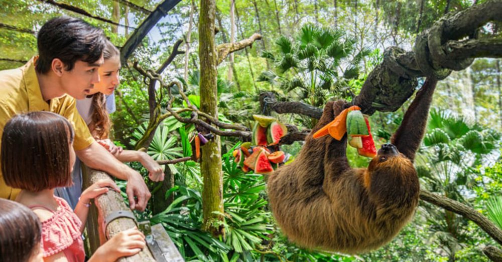 du-lich-singapore-malaysia-6n5d