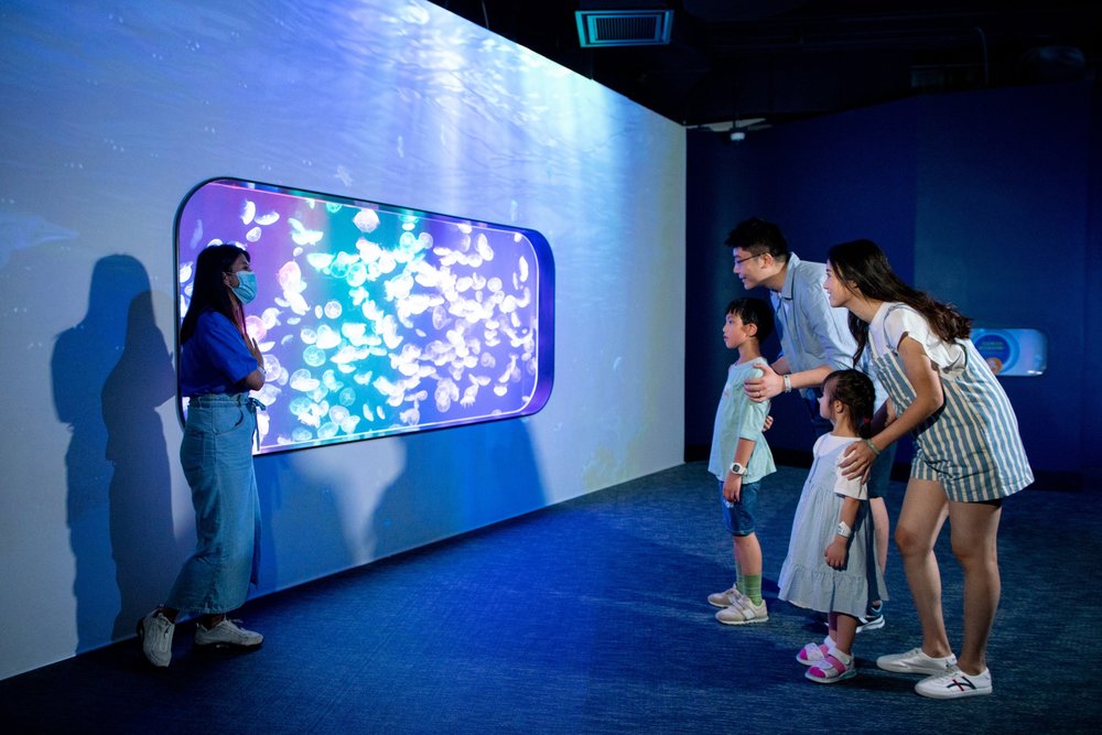 室內好去處, 落雨好去處, 香港浩海立方探游館