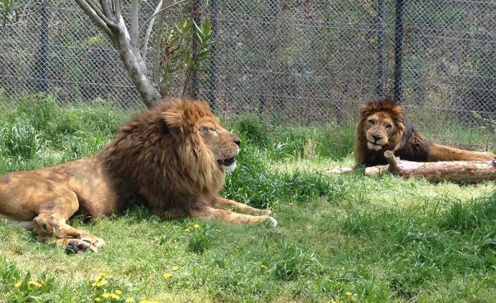 姫路セントラルパーク(兵庫県姫路市)