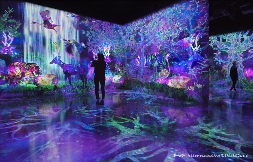 チームラボフォレスト福岡