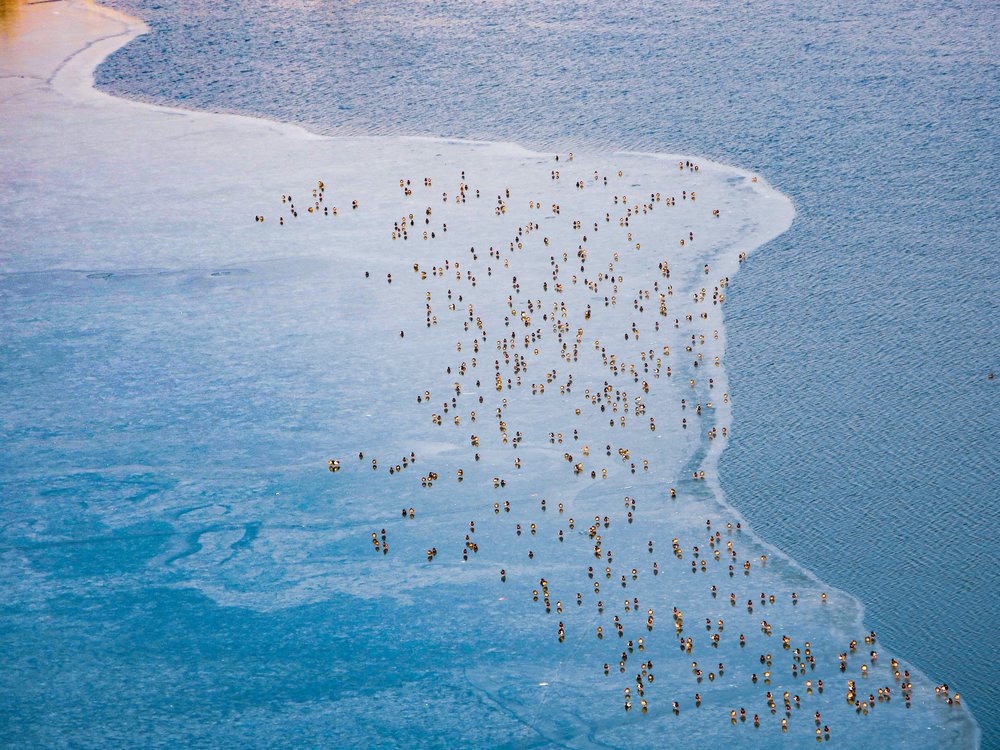View of the beach in Australia