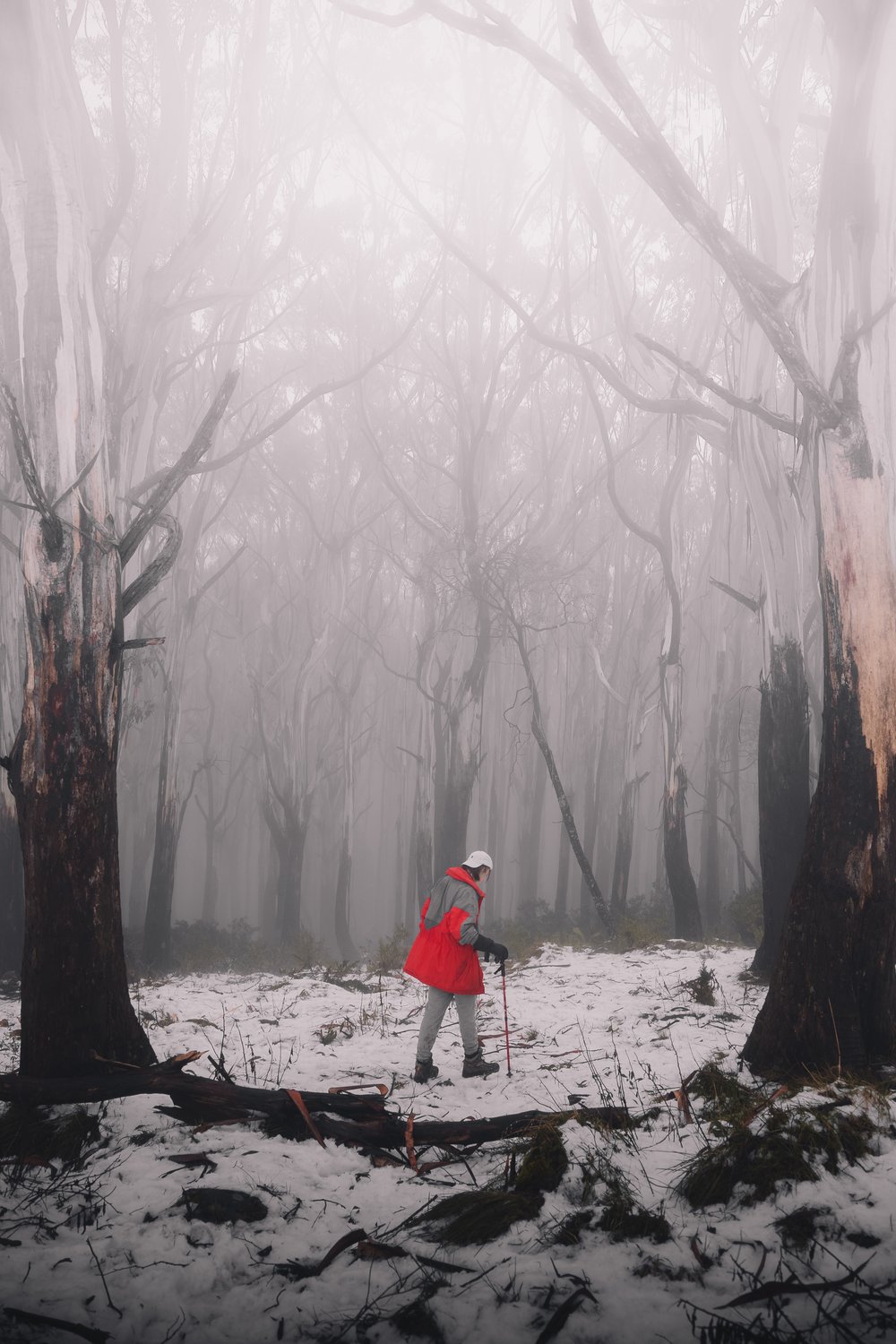 Person walking under the snow in Australia