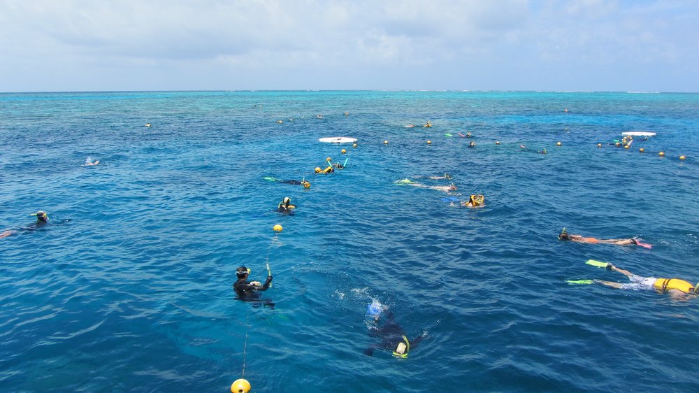 People snorkeling in the sea