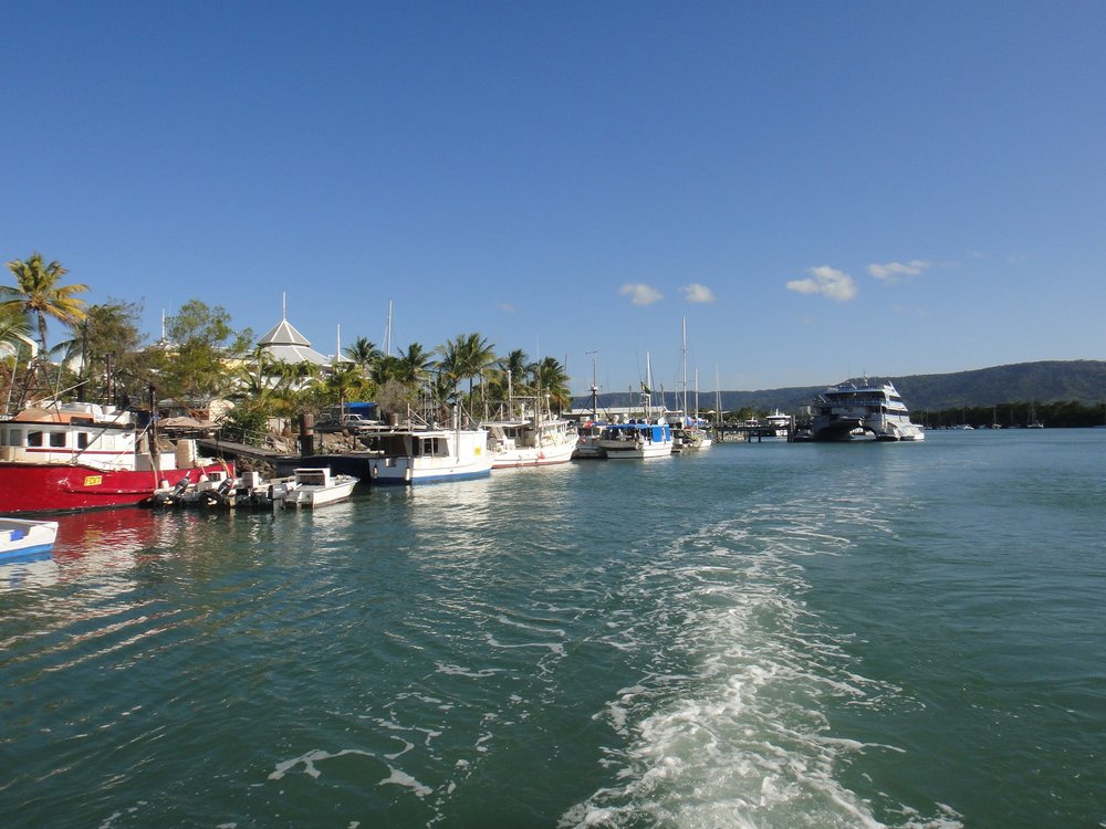 Boats lined up at Port Douglas