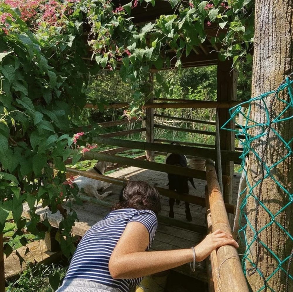 Genting Harmony Valley Retreat