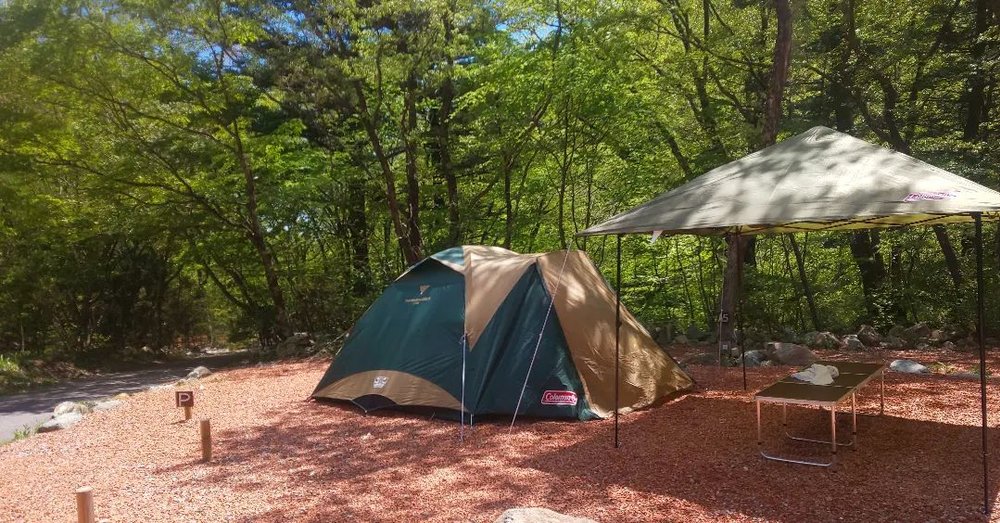 那須 大蛇尾渓谷『龍の国』オートキャンプ場