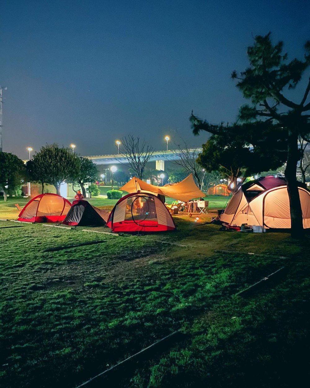 若洲公園キャンプ場 