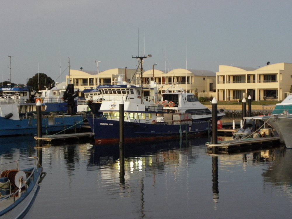 a view of boats docked somewhere in Port Lincoln in Australia