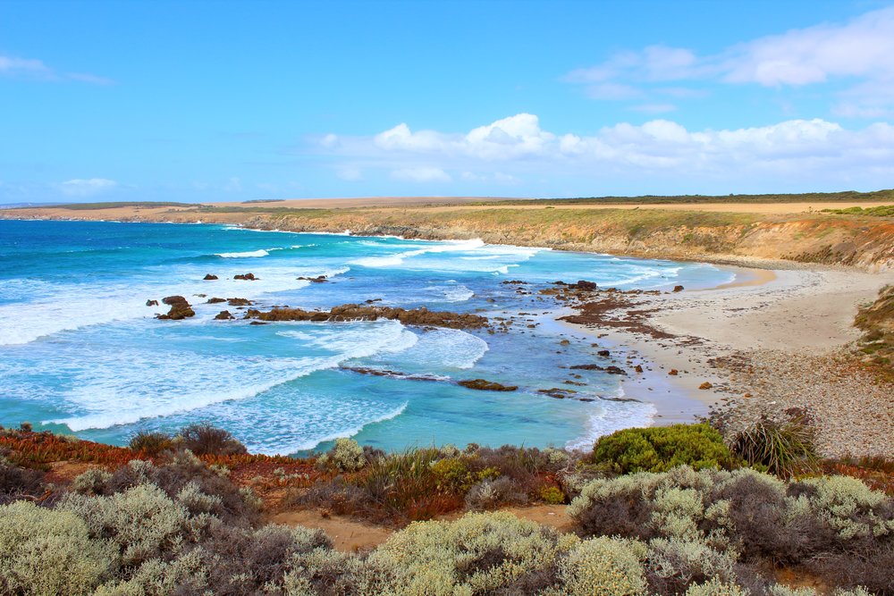 a view of a beach in Port Lincoln