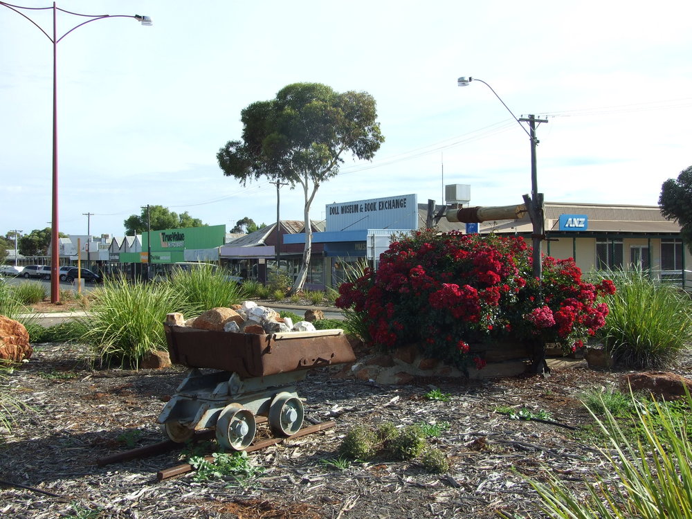 a mining contraption near a bush of flowers somewhere in Norseman Australia