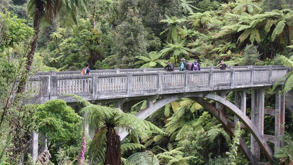 Bridge in one of attraction in New Zealand
