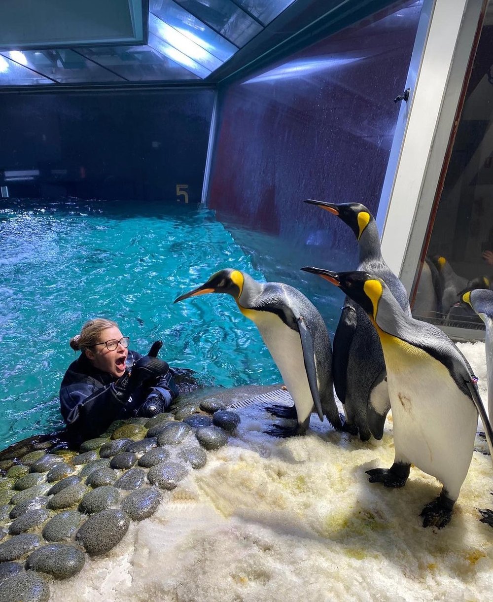 SEA LIFE Melbourne Aquarium top tourist attraction in Melbourne