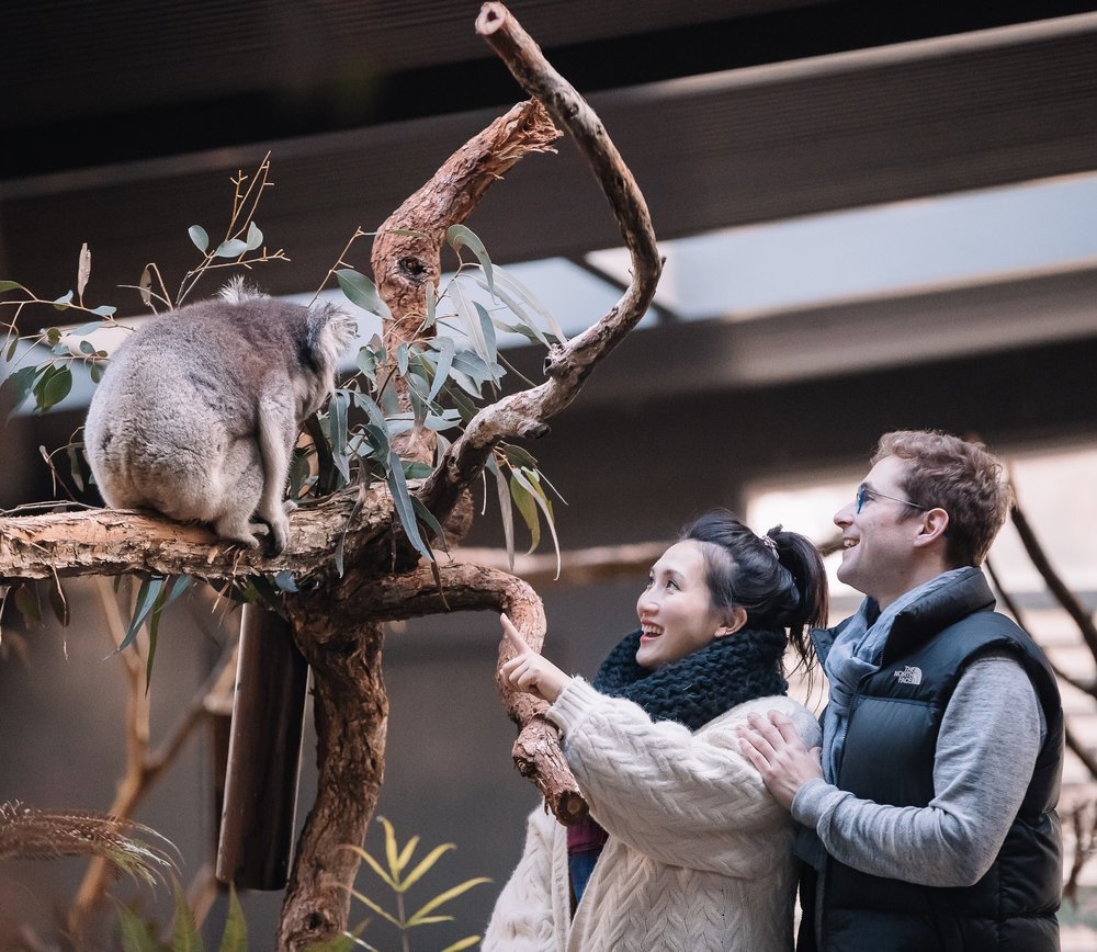 Gumbuya World best thing to do in Melbourne